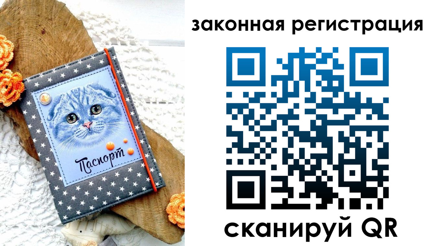 регистрация в Звенигово